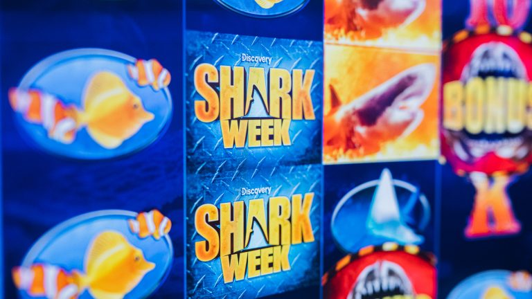 Shark Week Feeding Frenzy